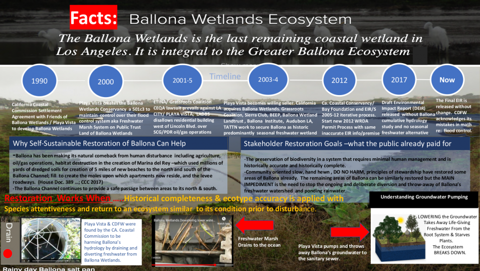 Ballona.Wetlands.Ecosystem.Timeline.1990.to_.2020.and_.Restoration