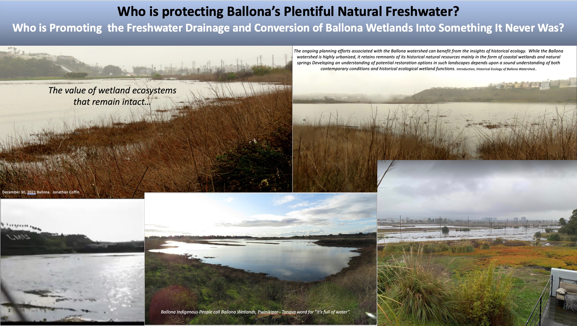 Freshwater_Wetlands_Protected_by_Who_Question