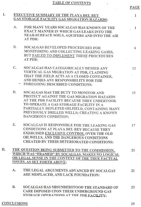Grassroots.Coalition.Brief_.CPUC_.Playa_.Del_.Rey_.Underground.Gas_.Storage.Facility.legal_.brief_.2007.64pages.Table_.Of_.Contents.jpg