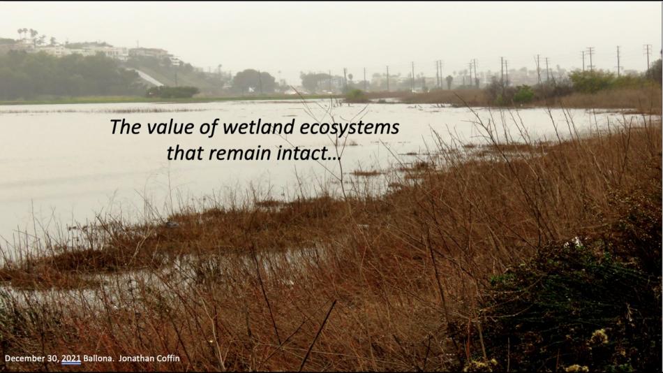 ballona wetlands restoration FEIR Land management plan slide03