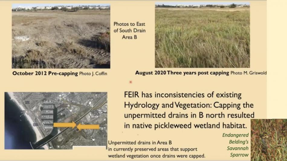 ballona wetlands restoration FEIR Land management plan slide14