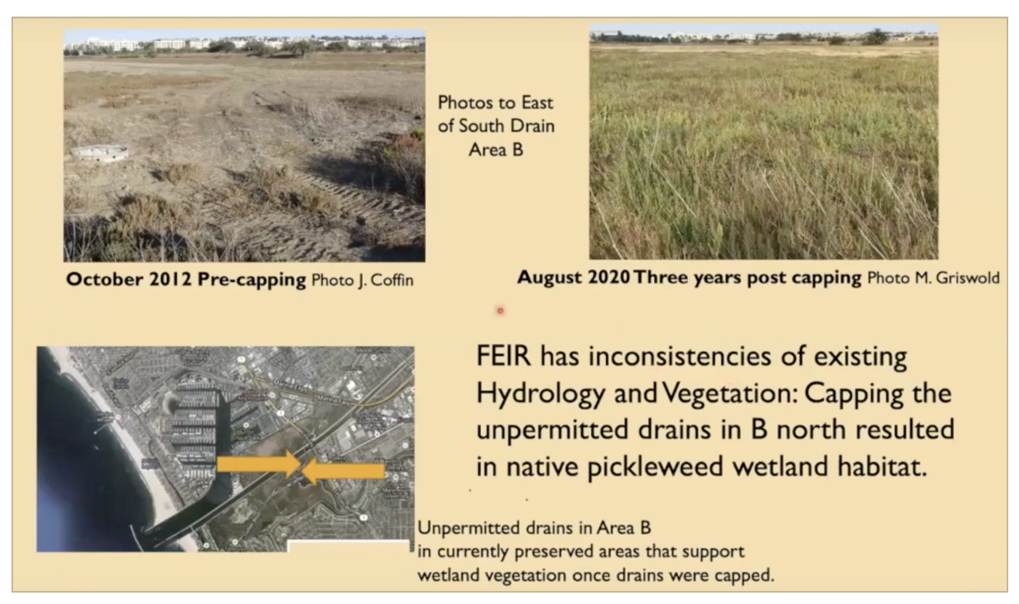 letter.picture2.FEIR_.Inconsistencies.Hydrology.Vegetation.Native.Pickleweed.freshwater.wetland.habitat.from_.capping.unpermitted.drains.2012.image_.compare.2020.image_.png