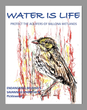 water_is_life-Protect_Ballona_Wetlands_Acquifers-Endangered_Beldings_Savannah_Sparrow-Pickleweed.png